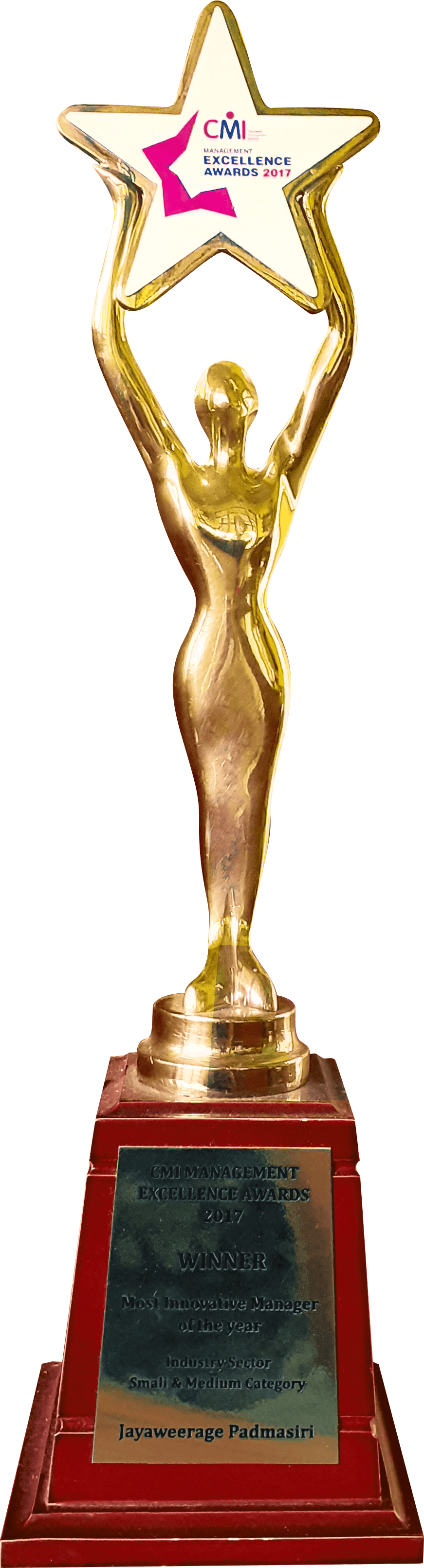 CMI 2017 — Most Innovative Business